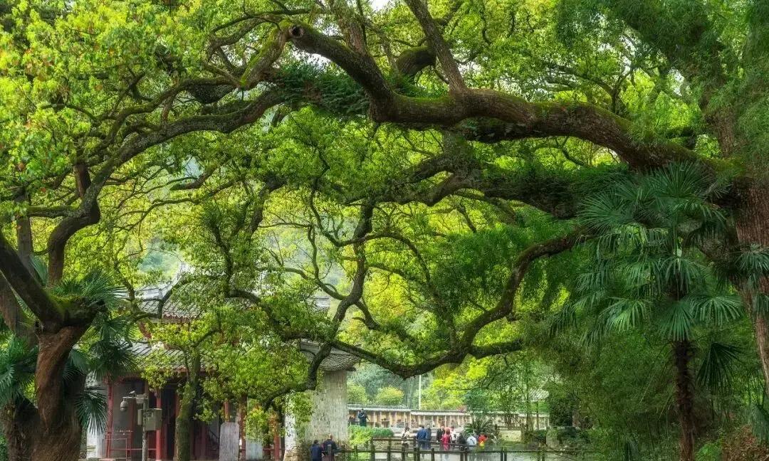 适合女性独自旅行的6个城市，心累了，就去小住三五天吧！(图1)